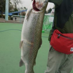 としまえんフィッシングエリア 釣果