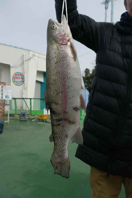 としまえんフィッシングエリア 釣果