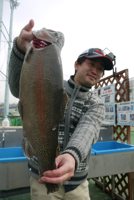 としまえんフィッシングエリア 釣果