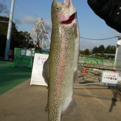 としまえんフィッシングエリア 釣果