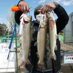 としまえんフィッシングエリア 釣果