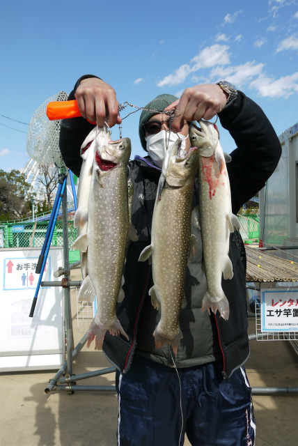 としまえんフィッシングエリア 釣果