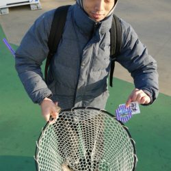 としまえんフィッシングエリア 釣果