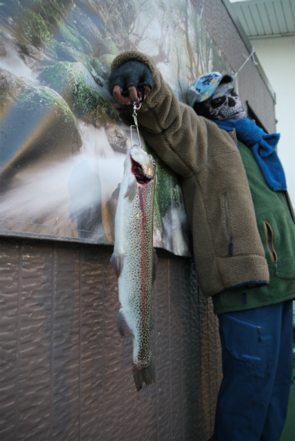 としまえんフィッシングエリア 釣果
