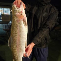 としまえんフィッシングエリア 釣果