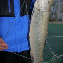 としまえんフィッシングエリア 釣果