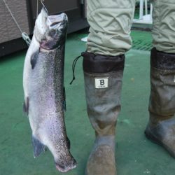 としまえんフィッシングエリア 釣果