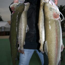 としまえんフィッシングエリア 釣果