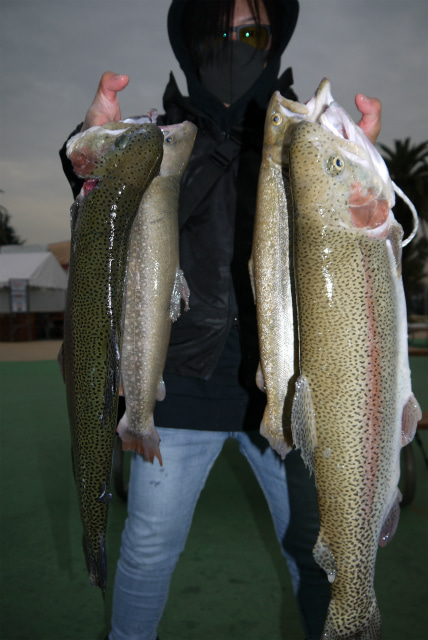 としまえんフィッシングエリア 釣果