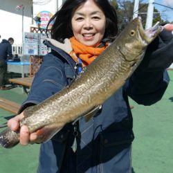 としまえんフィッシングエリア 釣果