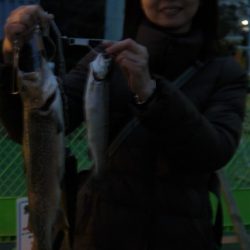 としまえんフィッシングエリア 釣果