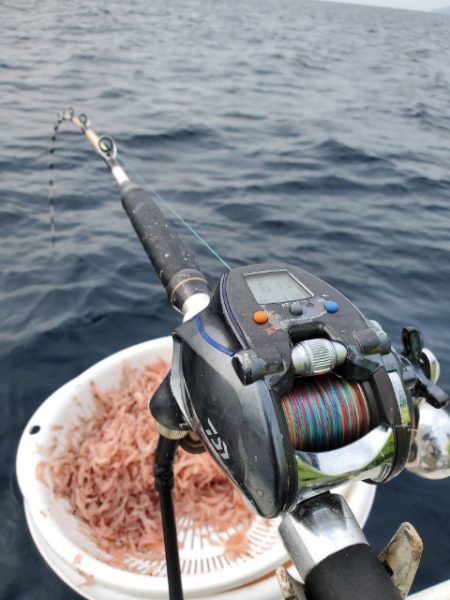 海晴丸 釣果