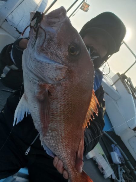 海晴丸 釣果