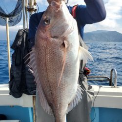 海晴丸 釣果