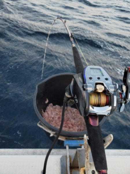 海晴丸 釣果