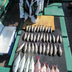 真祐丸 (しんゆうまる) 釣果