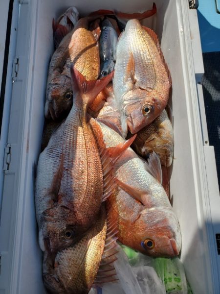 海晴丸 釣果