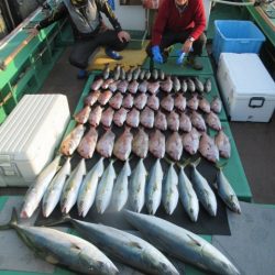 真祐丸 (しんゆうまる) 釣果