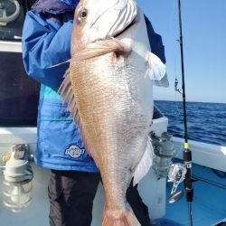 海晴丸 釣果