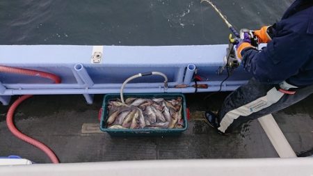 小樽港遊漁船ＳＨＡＫＥ 釣果