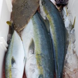 LUSTER『ラスター』 釣果