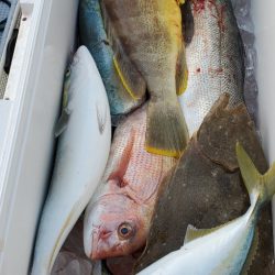 LUSTER『ラスター』 釣果