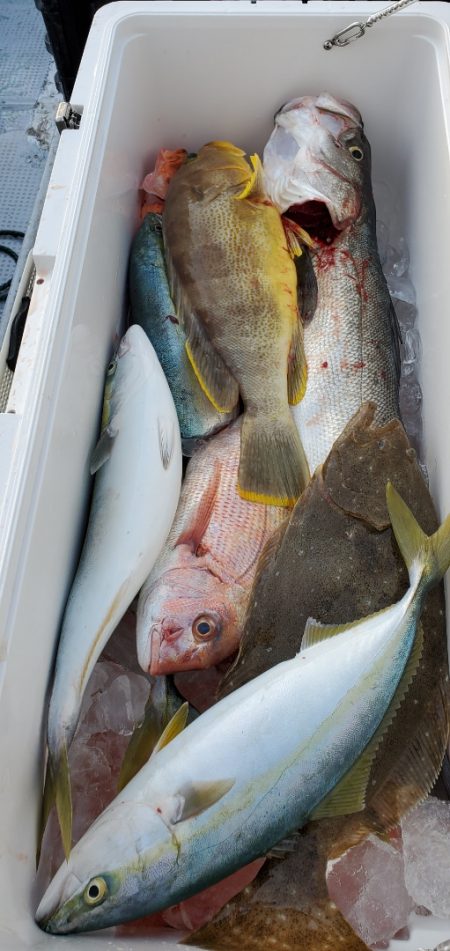 LUSTER『ラスター』 釣果