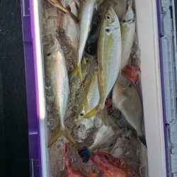 海龍丸（石川） 釣果