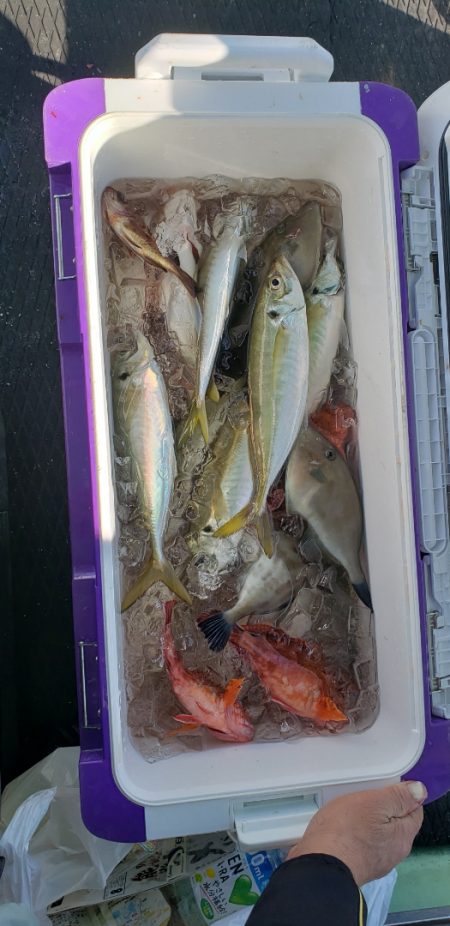 海龍丸（石川） 釣果