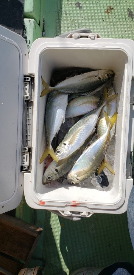 海龍丸（石川） 釣果