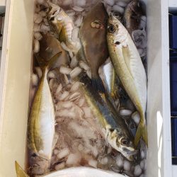 海龍丸（石川） 釣果