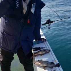 海龍丸（石川） 釣果