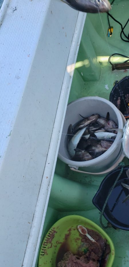 海龍丸（石川） 釣果