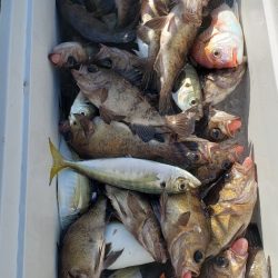 海龍丸（石川） 釣果