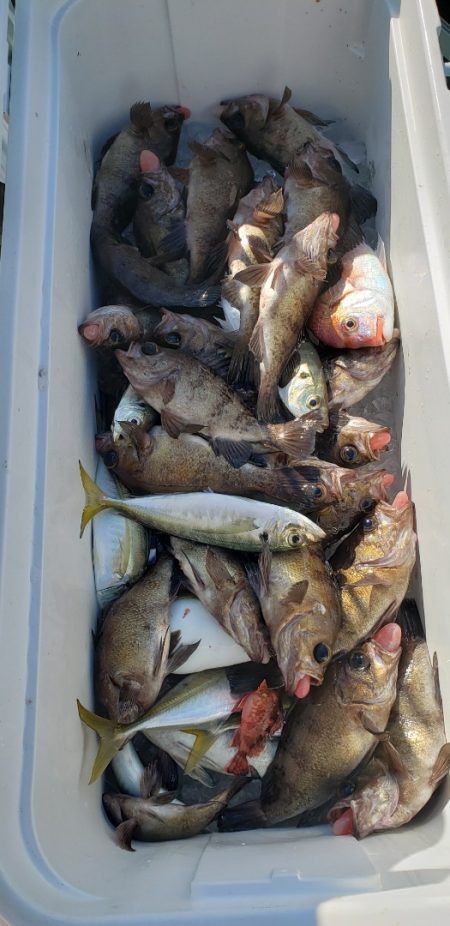 海龍丸（石川） 釣果