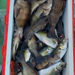 海龍丸（石川） 釣果