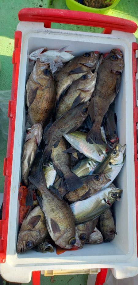 海龍丸（石川） 釣果