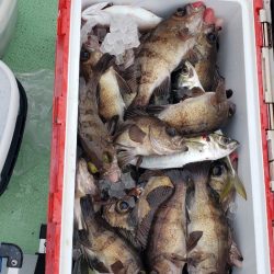 海龍丸（石川） 釣果