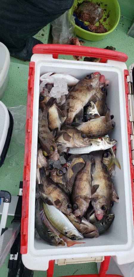海龍丸（石川） 釣果