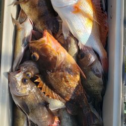海龍丸（石川） 釣果