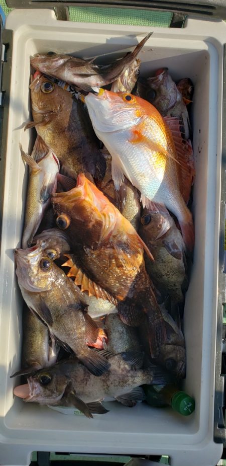 海龍丸（石川） 釣果