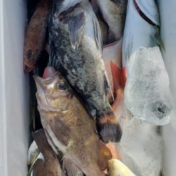 海龍丸（石川） 釣果