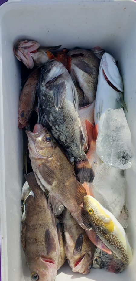 海龍丸（石川） 釣果