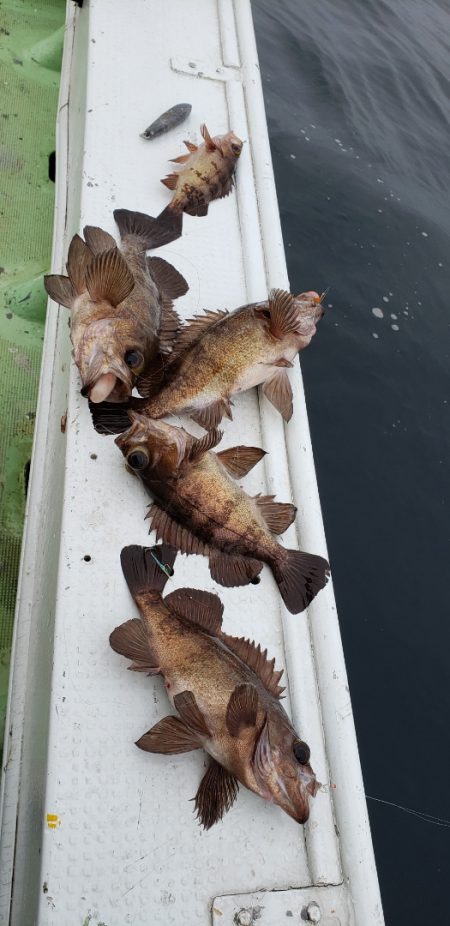 海龍丸（石川） 釣果