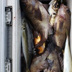 海龍丸（石川） 釣果