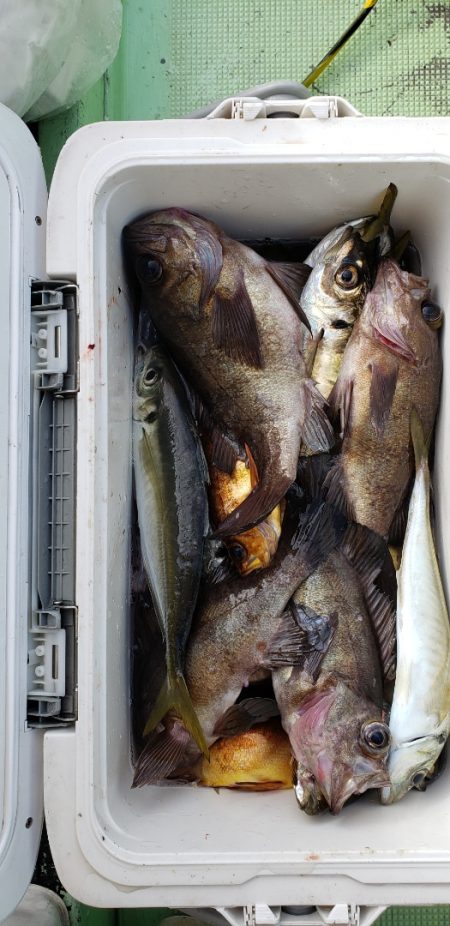 海龍丸（石川） 釣果