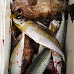 海龍丸（石川） 釣果