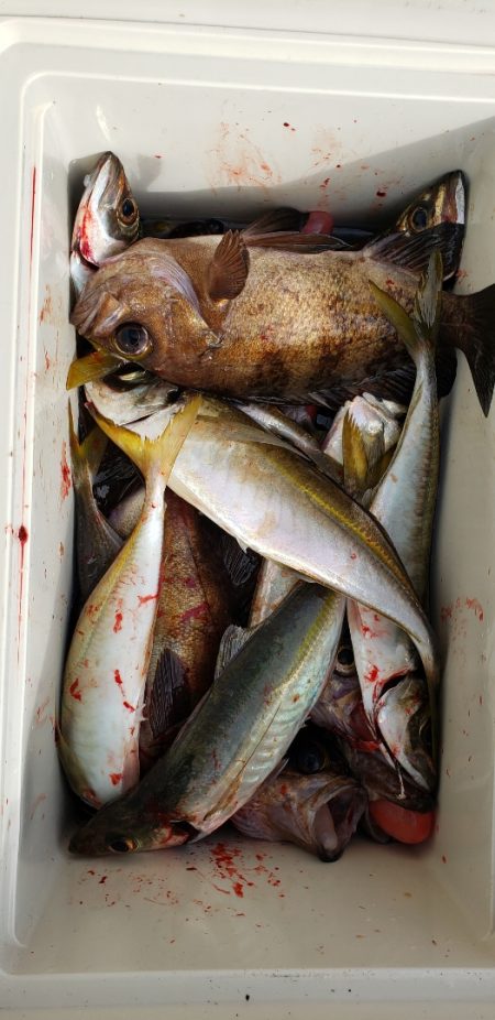 海龍丸（石川） 釣果