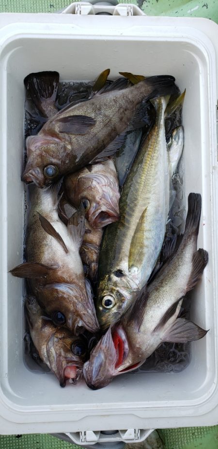 海龍丸（石川） 釣果