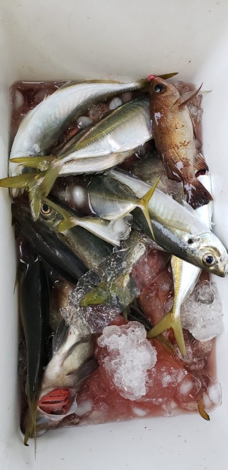 海龍丸（石川） 釣果